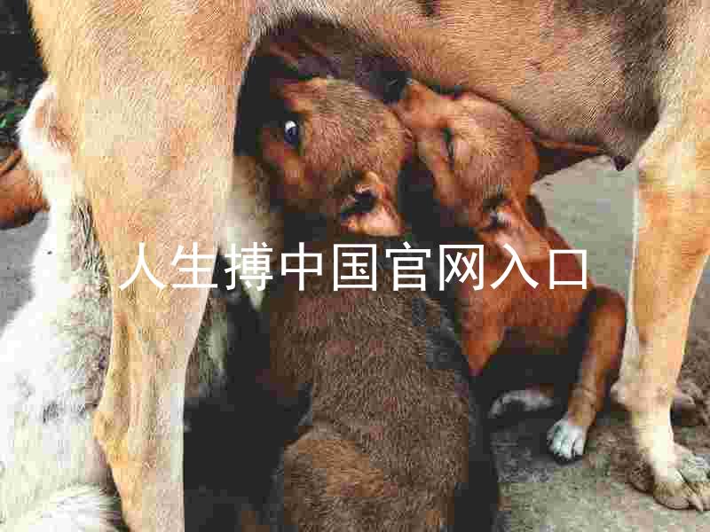 人生搏中国官网入口